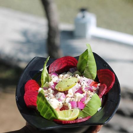 Shivanjal Wellness And Accommodation Rishīkesh Zewnętrze zdjęcie