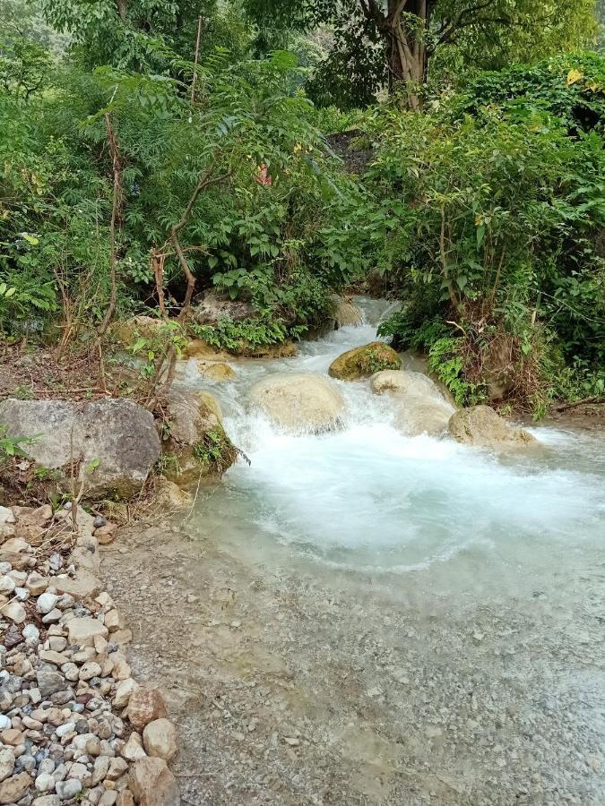 Shivanjal Wellness And Accommodation Rishīkesh Zewnętrze zdjęcie